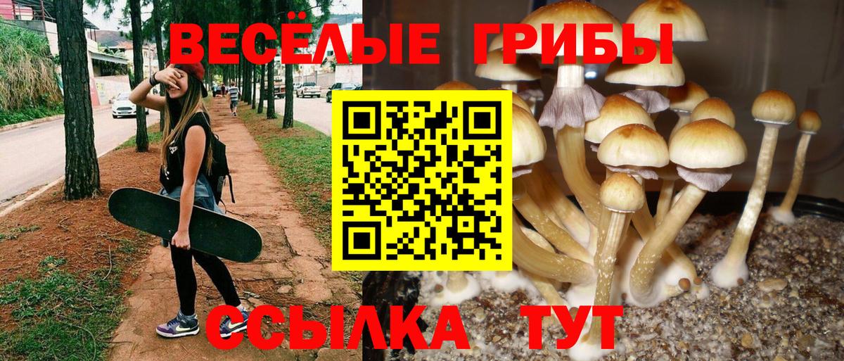 Псилоцибиновые грибы MAGIC MUSHROOMS Санкт-Петербург