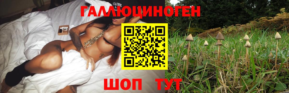 где купить   Псилоцибиновые грибы мухоморы  Вход с VPN  Санкт-Петербург 